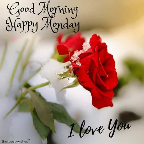 good-morning-happy-monday-pic good morning happy monday pic