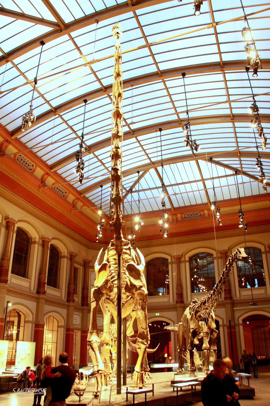 Paleo Świat Muzeum Historii Naturalnej w Berlinie