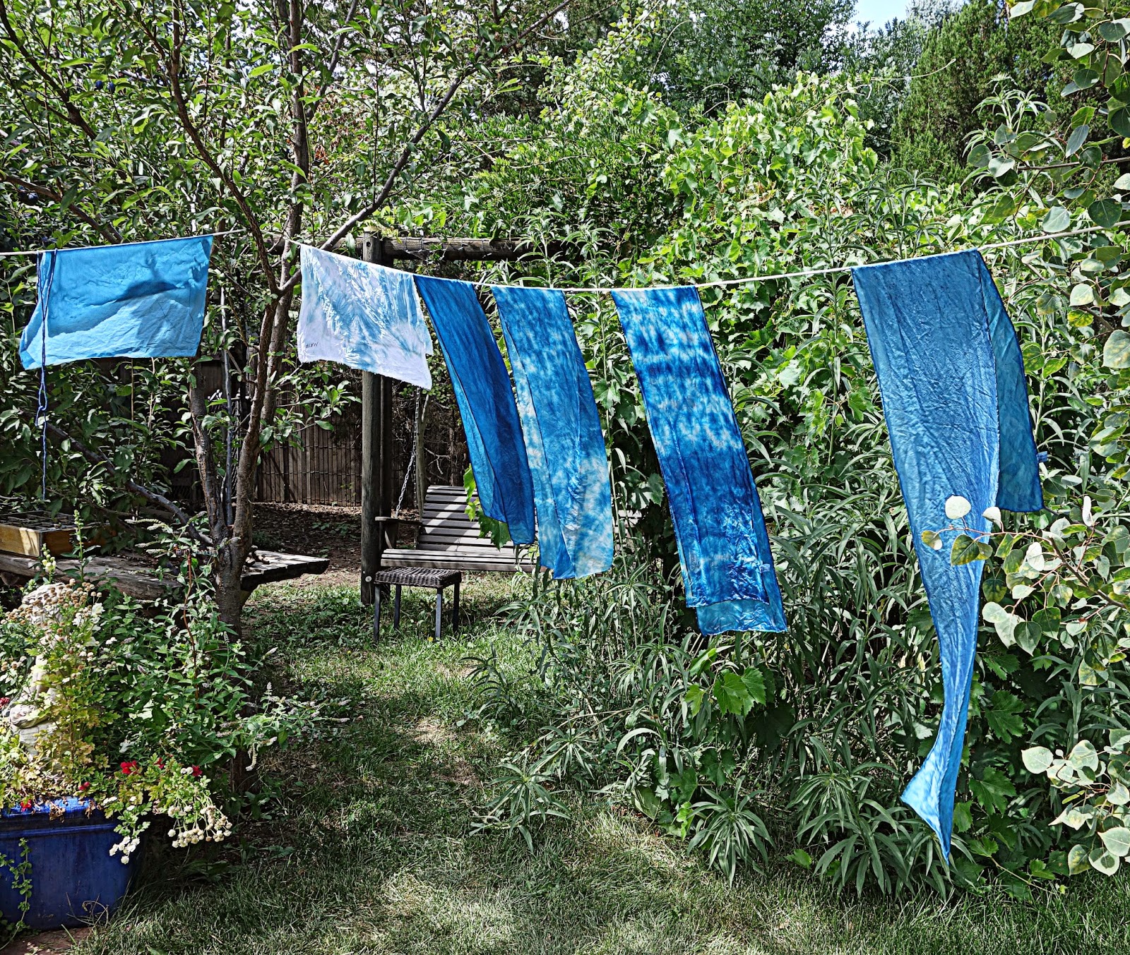 woman with wings: clothesline strung and blues hung