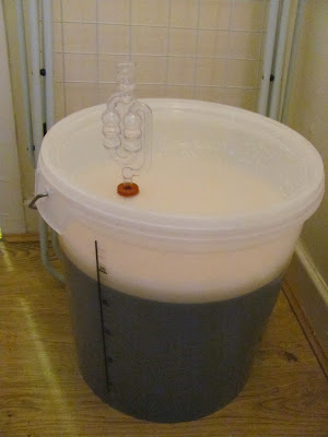 23L of IPA ready to ferment in a plastic fermenting bucket