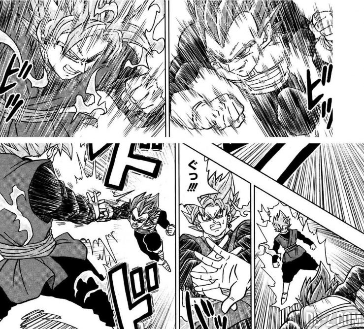 Vegeta-Super-Saiyan-God-vs-Goku-Black-Rose-739x668.jpg