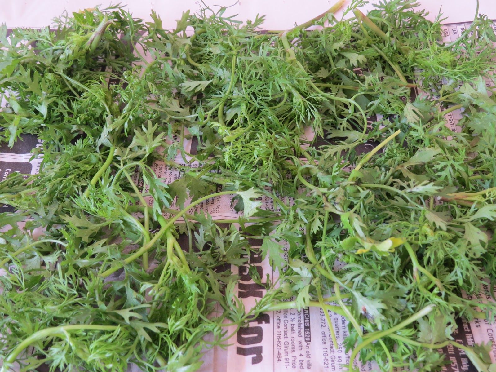 With Love from Mom's Kitchen How to Increase The Shelf Life Of Fresh