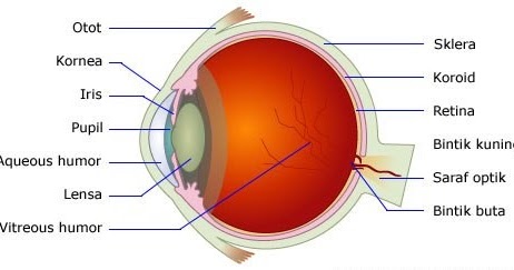 Peralatan Optik Belajar Fisika