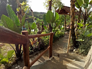 homestay murah kota batu homestay murah kota batu