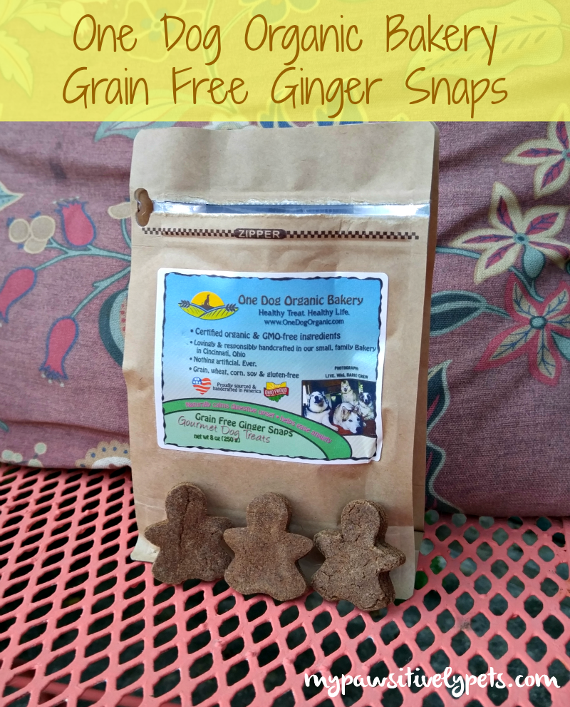 Fresh Baked Dog Treats from One Dog Organic Bakery Pawsitively Pets