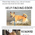 Have you seen Coco? There is a RO 500 reward if you find her!