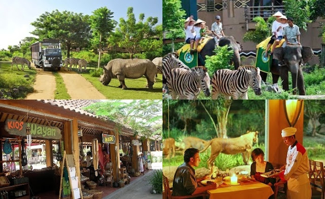 Things to do in Bali in Safari & Marine Park 4