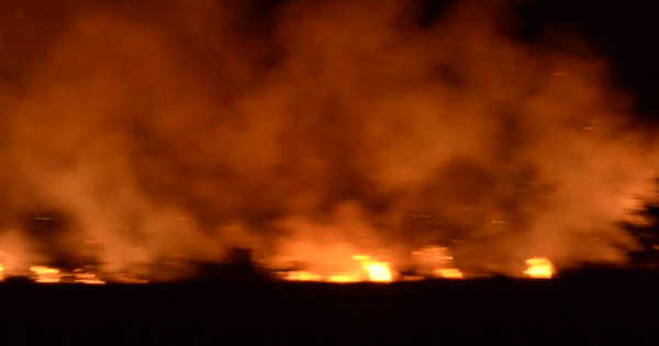 Δραματικό βράδυ στην Ηλεία από την πύρινη λαίλαπα που έκαψε σπίτια - Εκκενώθηκε η Σκιλλουντία (βίντεο)