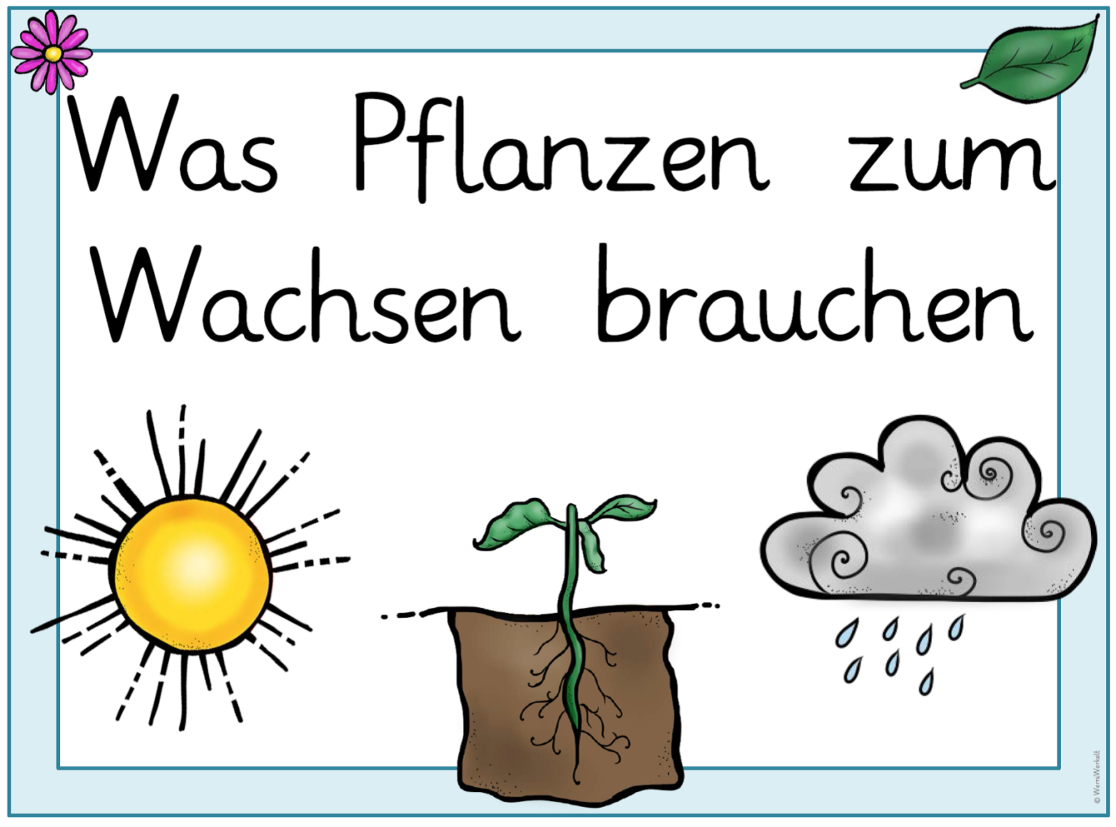 Pin von Lidia Jemric auf Basteln | Pflanzen, Wachstum, Neue schule
