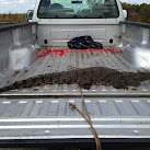 Nile Crocodile Captured In Florida