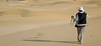 Dune Strolling