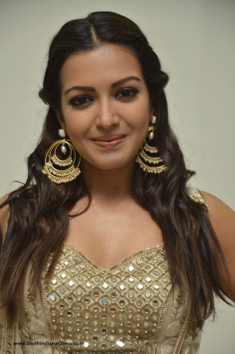 Catherine Tresa at Gautham Nanda success meet