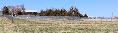 three 25'x300' six foot chain link fence dog runs