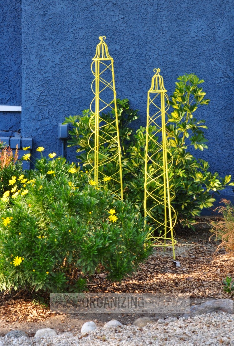 Cute trellises paint a pop of bright yellow for interest in the front yard :: OrganizingMadeFun.com