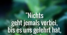 A Pug's Thought Alles hat seinen Sinn