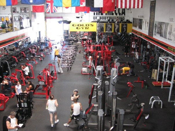 Interesting Perceptions: Gold's Gym Venice Shutting Down?!