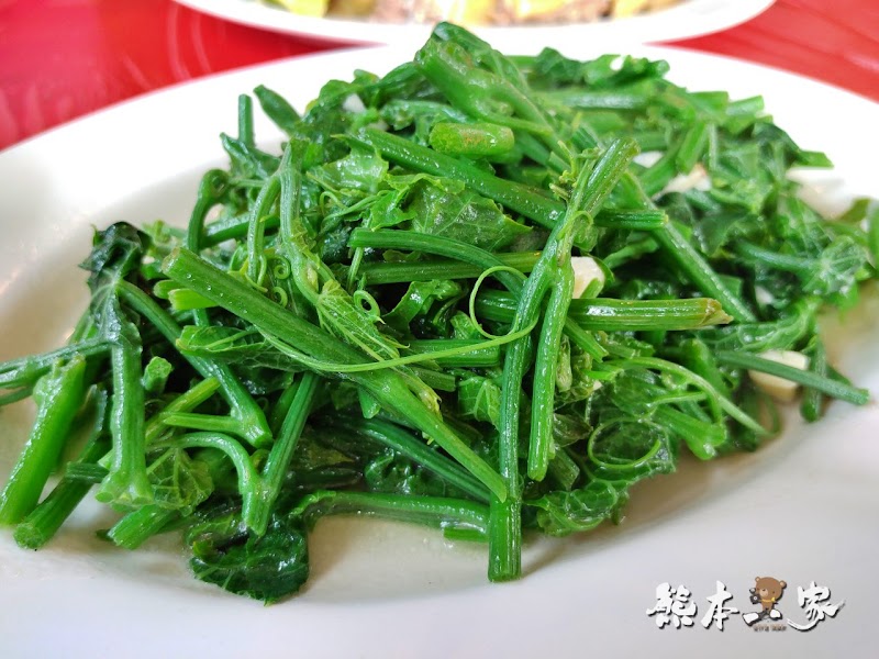 竹子湖炒青菜|陽明山頂湖餐廳|備停車場近頂湖海芋步道|白斬雞地瓜湯好吃