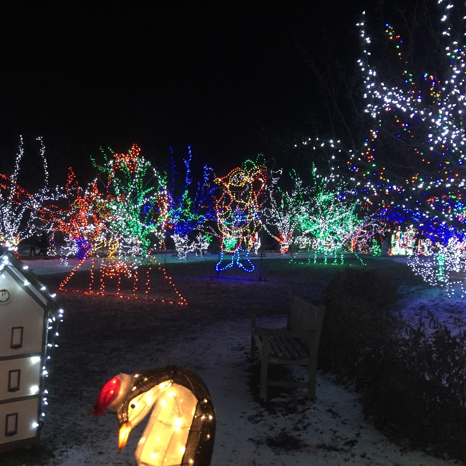 A Little Time and a Keyboard Holiday Lights at Lilacia Park in Lombard