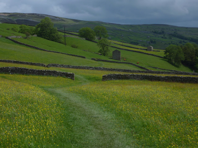 Walking Across England: Day 10: June 17, 2011 - Keld to Reeth