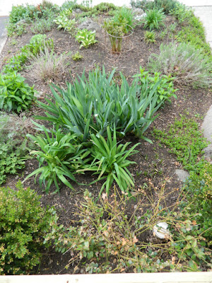 Monarch Park  garden cleanup after by Paul Jung Gardening Services Toronto