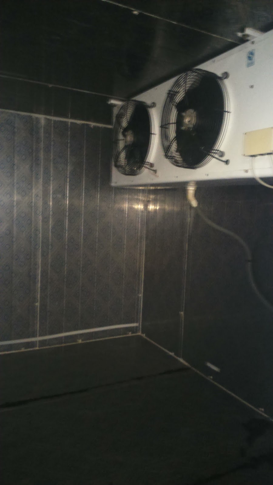 Flake Ice Plants / Cold Rooms / Blast Freezers Cold Rooms In Sri