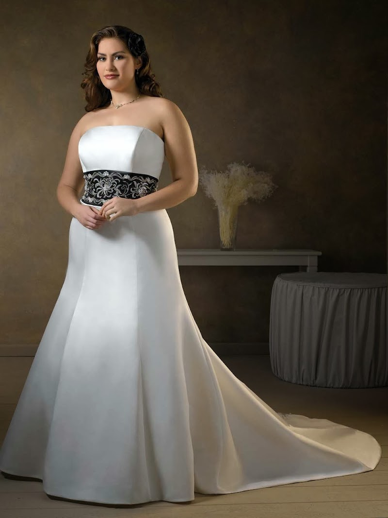 49+ Famous Inspiration Wedding Dress Ideas Plus Size