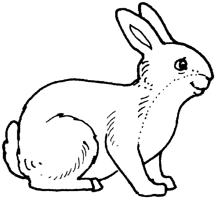 Tranh tô màu con thỏ đang ngồi