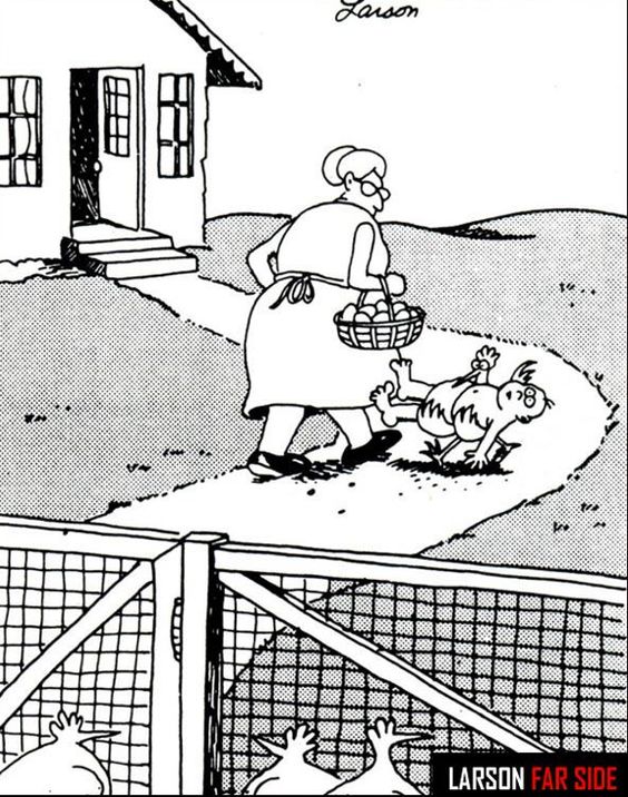 chicken.jpg