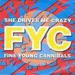 Fine Young Cannibals