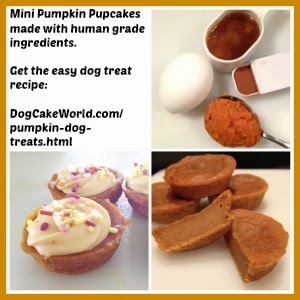 Pumpkin cake for dogs