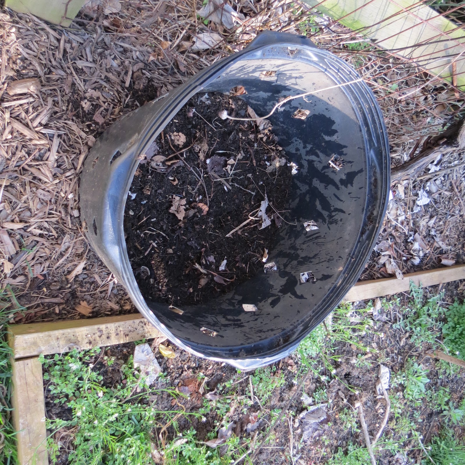 The Rusted Vegetable Garden