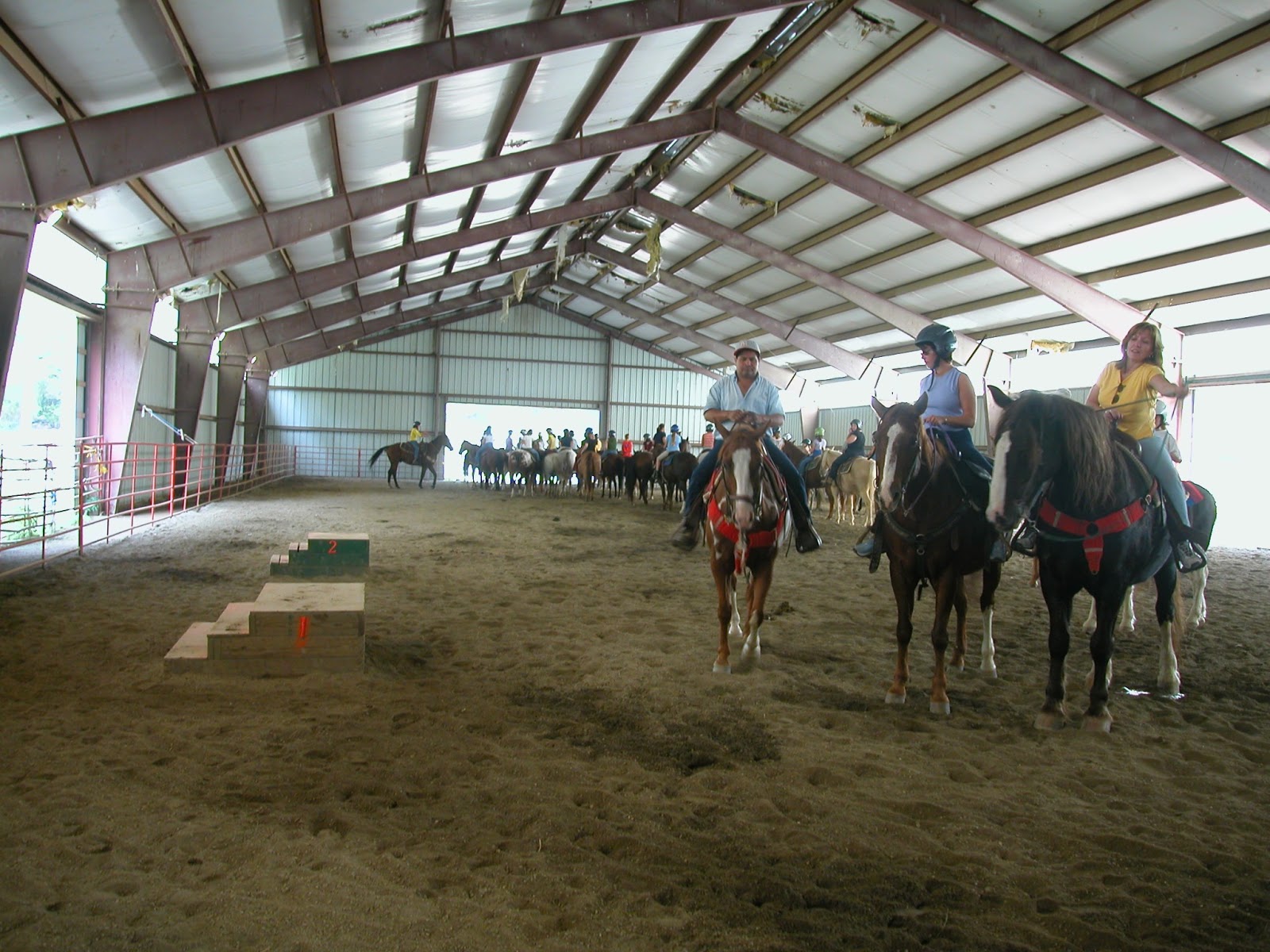 Horse Journal Roseland Ranch Herd 2003