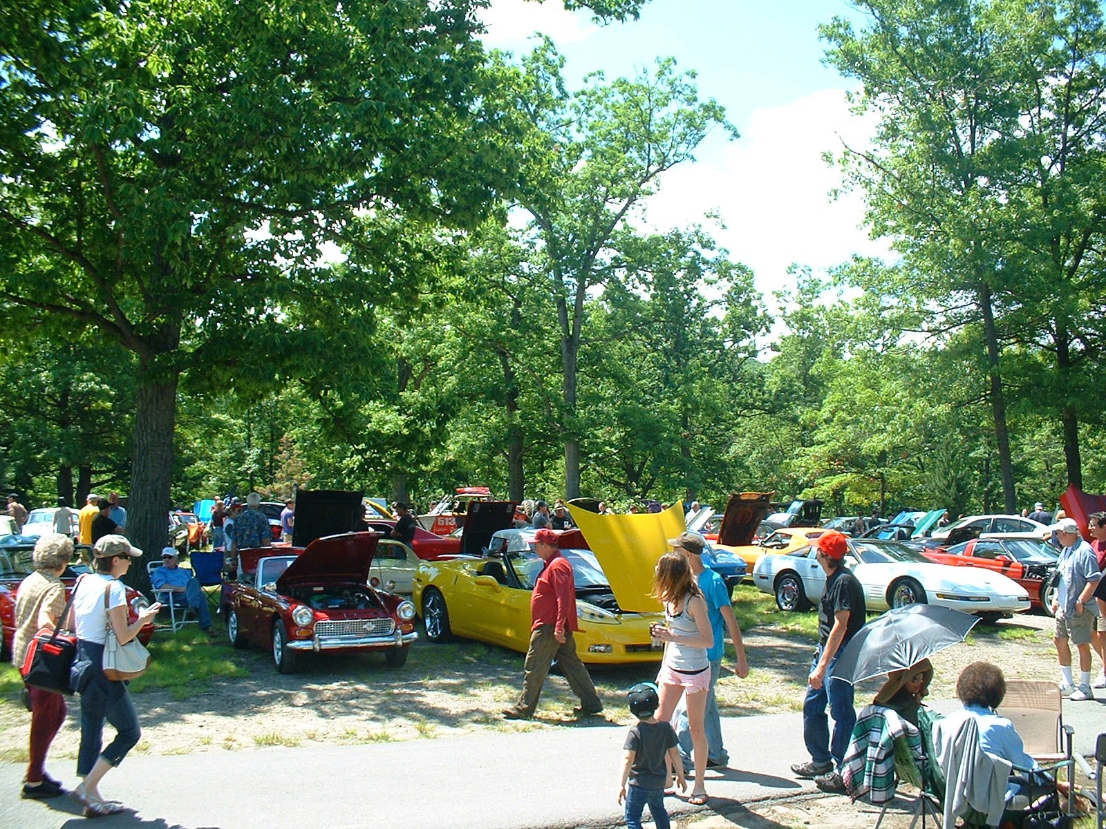 Frank's Place Nay Aug Park Car Show 2014