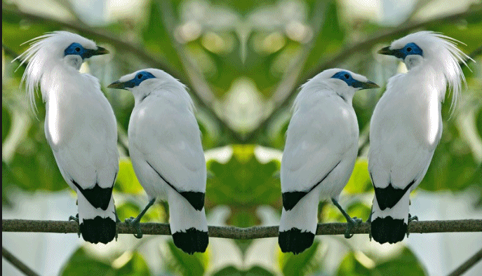 Https Encrypted Tbn0 Gstatic Com Images Q Tbn 3aand9gcrcmjxvr Ew0qve3j01 Ho0qviwolp5jxattlrrehmbjl8iunec