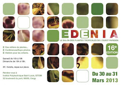 Edenia 2013  Cergy-Pontoise