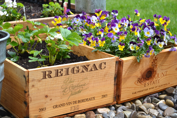 Creative Planter Ideas