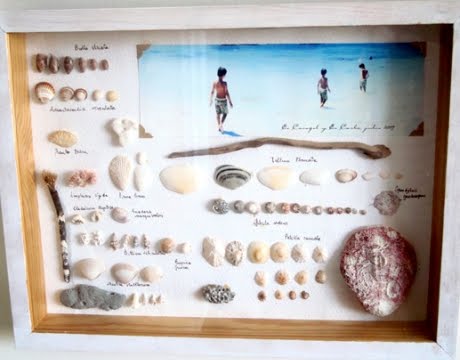 beach memory frame with photo and shells