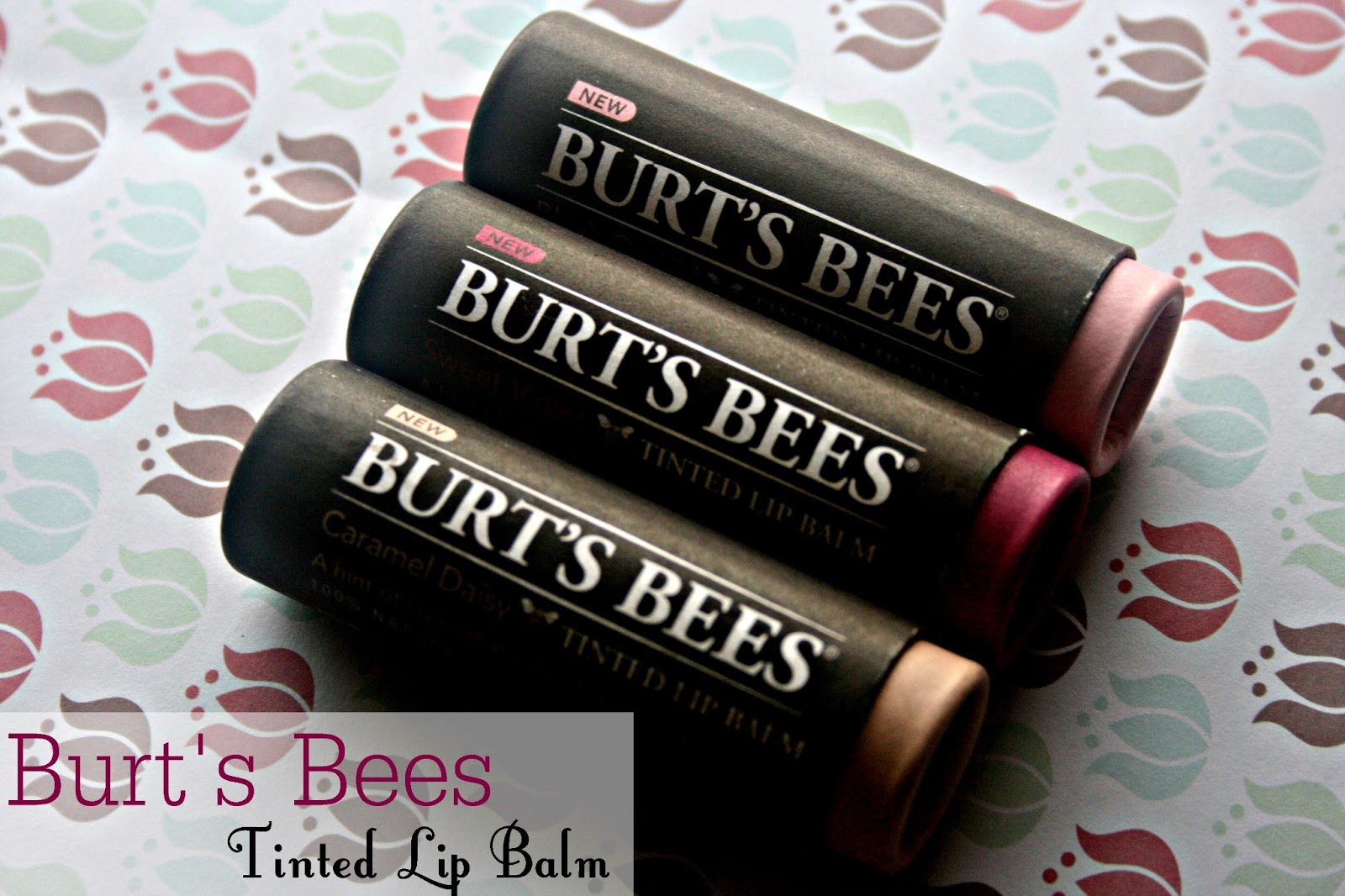 Makeup, Beauty and More Burt's Bees Tinted Lip Balms New Shades for