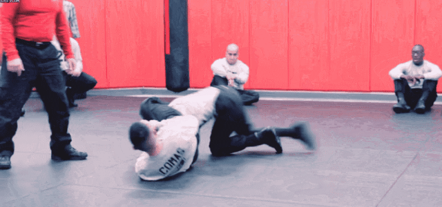 5.gif