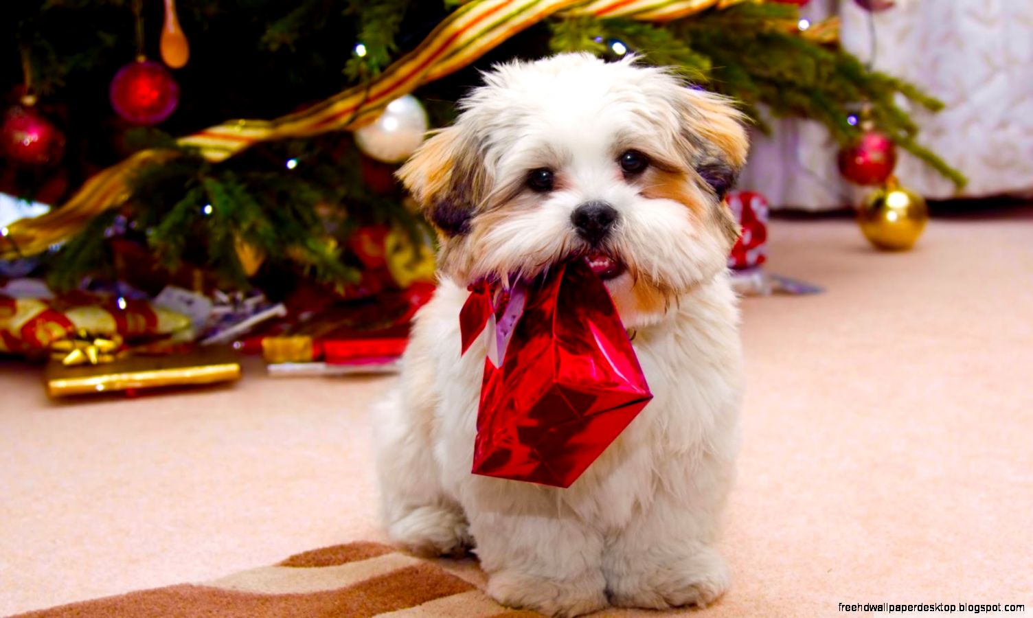 Cute Christmas Puppies Wallpaper
