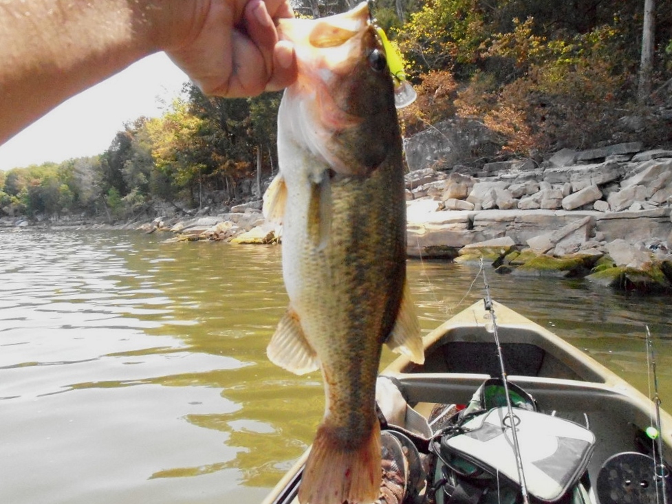 BaitRageous J Percy Priest Lake - Jeff 4