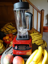 Blender Optimum