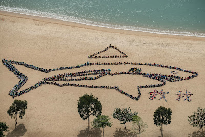 Children form of a shark on a beach with a detached fin as part of Kids Ocean Day event aimed at raising awareness on shark fin trade and consumption in Hong Kong .  More than 70 million sharks are killed every year, with Hong Kong importing about 10,000 tonnes annually for the past decade, according to environmental groups. Most of those fins are then exported to mainland China.