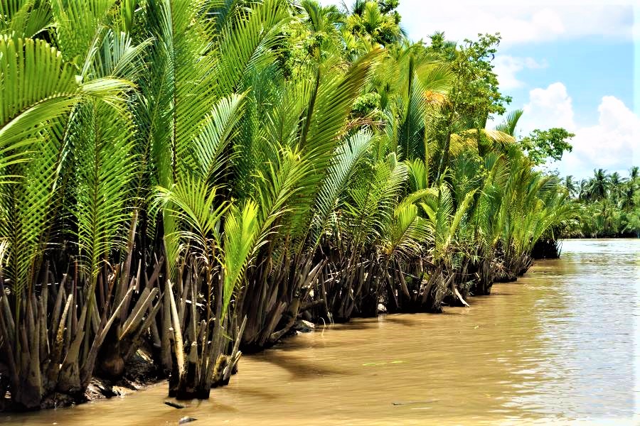 Sundarban, largest mangrove forest History and Travelworld heritage BD