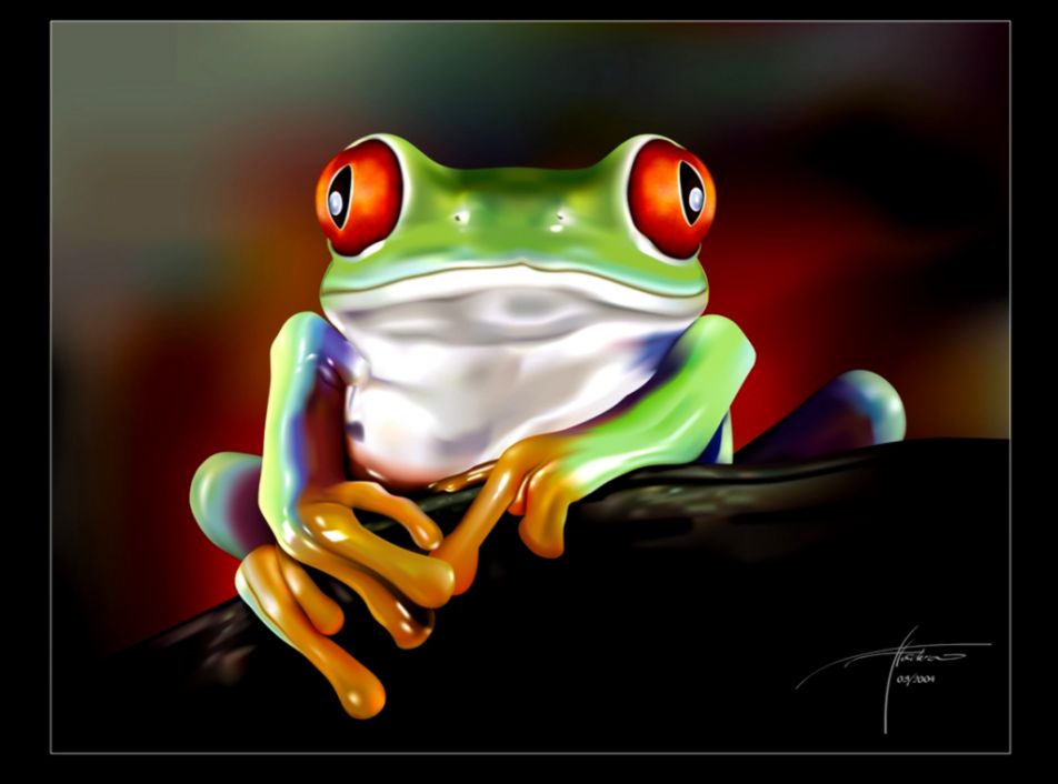 Cute Frog Desktop Backgrounds