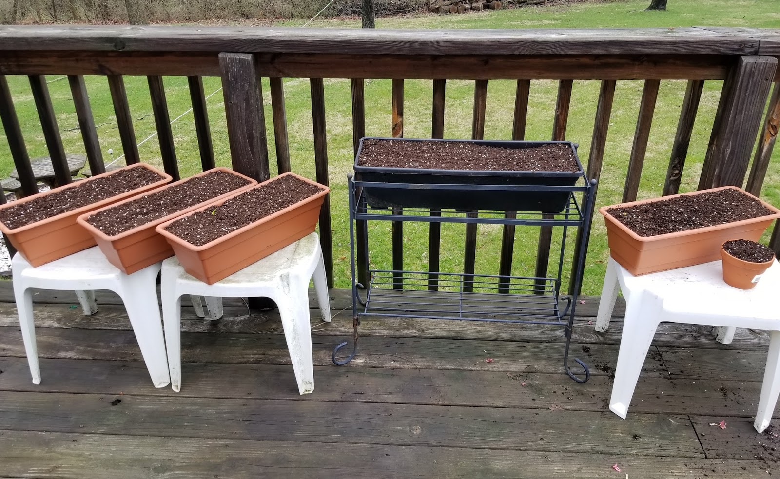 Classy Event Organizer Planting Onion Sets in Containers