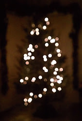 tree christmas vertical lighting horizontal bokeh lights trees