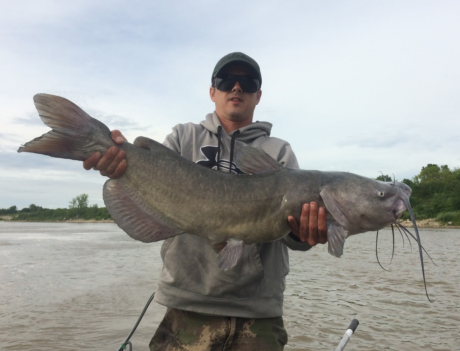 1000 Inches of Channel Catfish | www.roughfish.com