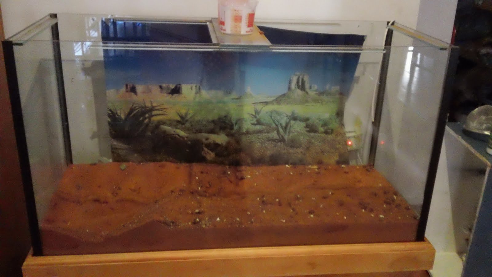 Tank Trouble 1 >> My Animals and I: How to clean a lizard tank by Brynn L Tank Trouble 1 >> My Animals and I: How to clean a lizard tank by Brynn L