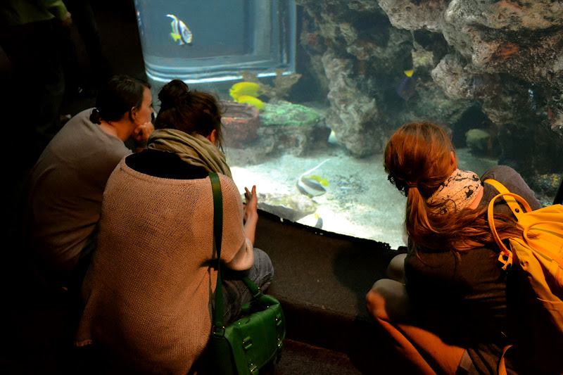 Urban Adventure: Coney Island & New York Aquarium